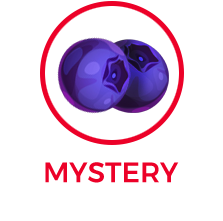 fumetto mistery blog le tazzine di yoko