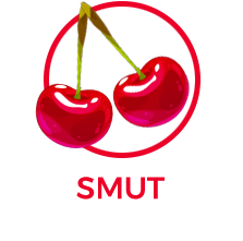 fumetto smut blog le tazzine di yoko